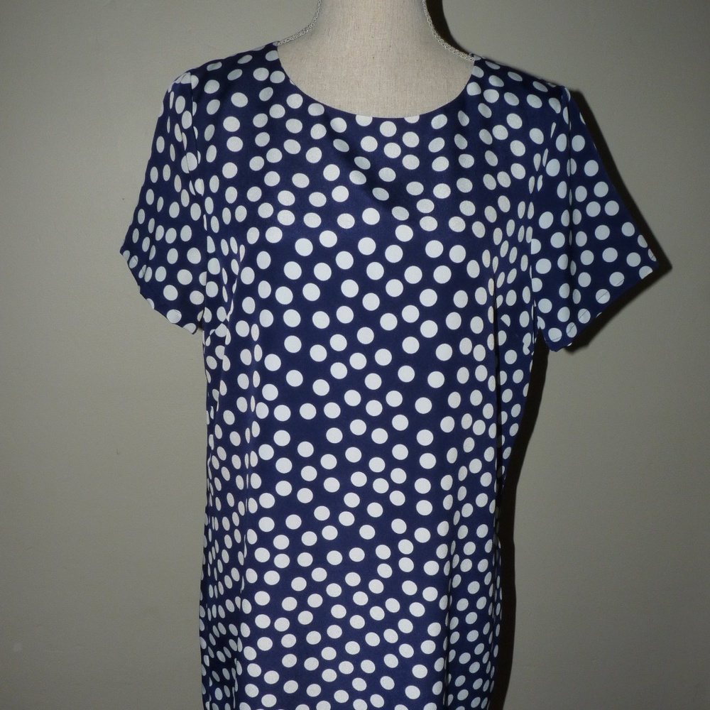 J. Crew Navy with Polka Dot Dress